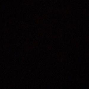 Meet your Posher, Carl